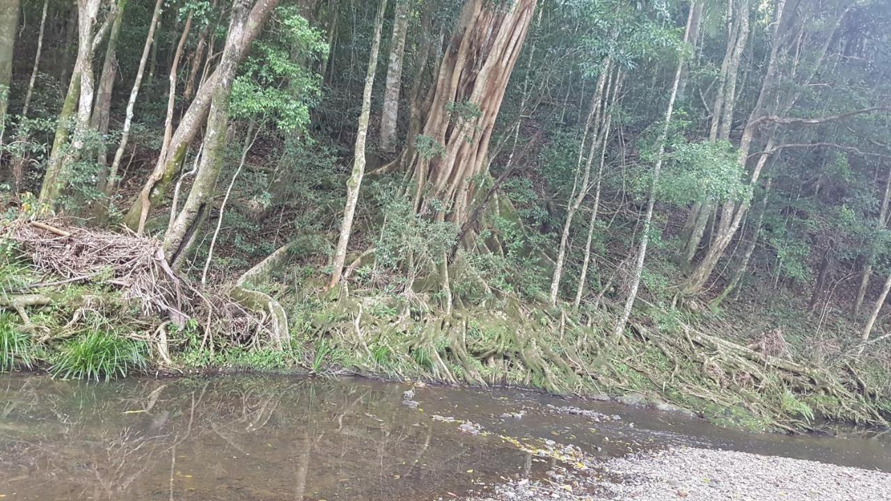 Starry Nights Luxury Camping Woombye Luaran gambar